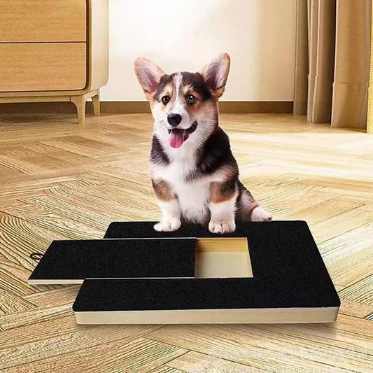 Dog Nail Trim Sanding Board